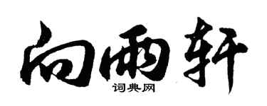 胡問遂向雨軒行書個性簽名怎么寫