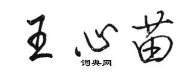 駱恆光王心苗行書個性簽名怎么寫