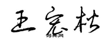 曾慶福王宏楷草書個性簽名怎么寫