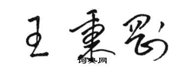 駱恆光王秉剛草書個性簽名怎么寫