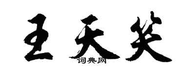 胡問遂王天笑行書個性簽名怎么寫