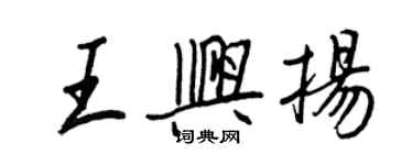 王正良王興揚行書個性簽名怎么寫
