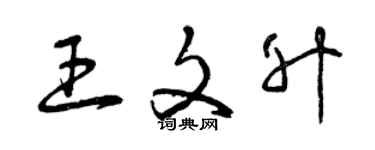 曾慶福王文升草書個性簽名怎么寫