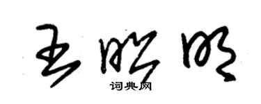 朱錫榮王昭明草書個性簽名怎么寫