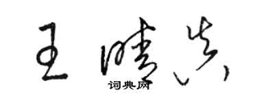 駱恆光王晴真草書個性簽名怎么寫