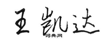 駱恆光王凱達行書個性簽名怎么寫