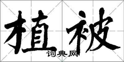 翁闓運植被楷書怎么寫