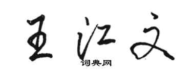 駱恆光王江文行書個性簽名怎么寫