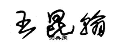 朱錫榮王昆翰草書個性簽名怎么寫