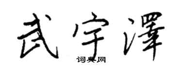 王正良武宇澤行書個性簽名怎么寫