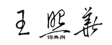 駱恆光王照華草書個性簽名怎么寫