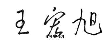 駱恆光王宏旭草書個性簽名怎么寫