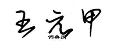 朱錫榮王元甲草書個性簽名怎么寫