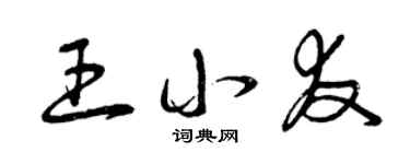 曾慶福王小友草書個性簽名怎么寫