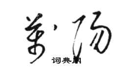 駱恆光萬陽草書個性簽名怎么寫