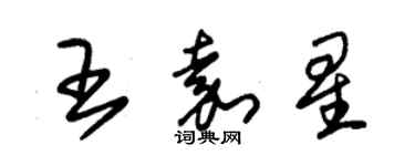 朱錫榮王嘉星草書個性簽名怎么寫