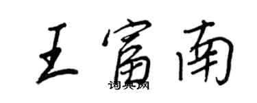 王正良王富南行書個性簽名怎么寫