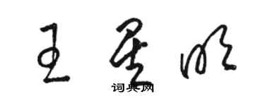 駱恆光王星明草書個性簽名怎么寫