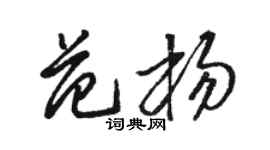 駱恆光范楊草書個性簽名怎么寫