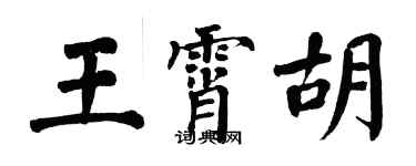 翁闓運王霄胡楷書個性簽名怎么寫