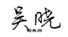 曾慶福吳曉行書個性簽名怎么寫