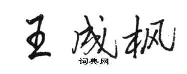 駱恆光王成楓行書個性簽名怎么寫