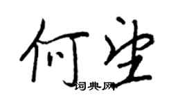 王正良何望行書個性簽名怎么寫