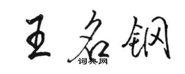 駱恆光王名鋼行書個性簽名怎么寫
