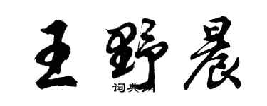 胡問遂王野晨行書個性簽名怎么寫