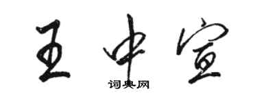 駱恆光王中宣行書個性簽名怎么寫