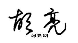 朱錫榮胡亮草書個性簽名怎么寫