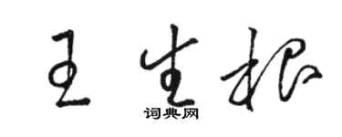 駱恆光王生根草書個性簽名怎么寫