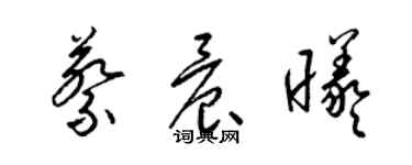 梁錦英蔡晨曦草書個性簽名怎么寫