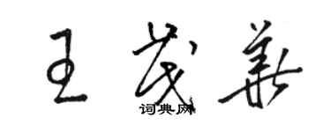 駱恆光王茂華草書個性簽名怎么寫