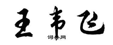 胡問遂王韋飛行書個性簽名怎么寫