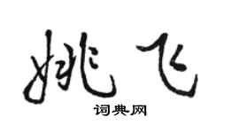 駱恆光姚飛行書個性簽名怎么寫