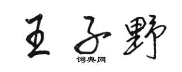 駱恆光王子野行書個性簽名怎么寫