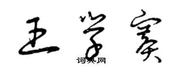 曾慶福王學賽草書個性簽名怎么寫