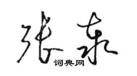 駱恆光張泰草書個性簽名怎么寫