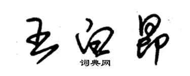 朱錫榮王白昂草書個性簽名怎么寫