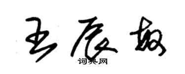 朱錫榮王辰敏草書個性簽名怎么寫