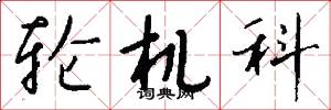 輪機科怎么寫好看