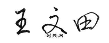 駱恆光王文田行書個性簽名怎么寫