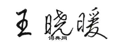 駱恆光王曉暖行書個性簽名怎么寫