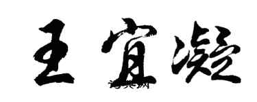 胡問遂王宜凝行書個性簽名怎么寫