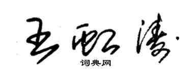 朱錫榮王虹濤草書個性簽名怎么寫