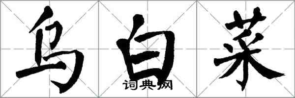 翁闓運烏白菜楷書怎么寫