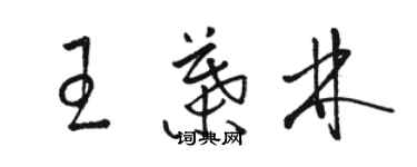 駱恆光王葉林草書個性簽名怎么寫