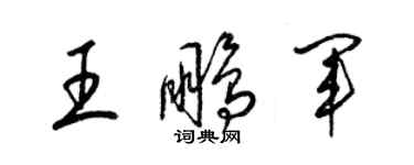 梁錦英王鵬軍草書個性簽名怎么寫