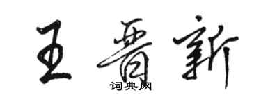 駱恆光王晉新行書個性簽名怎么寫